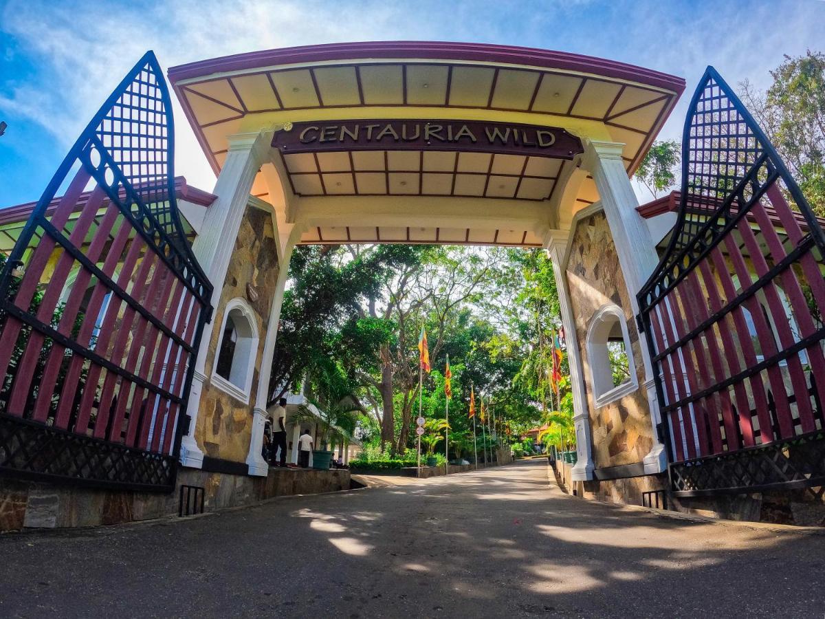 Centauria Wild Hotel Udawalawe Eksteriør billede